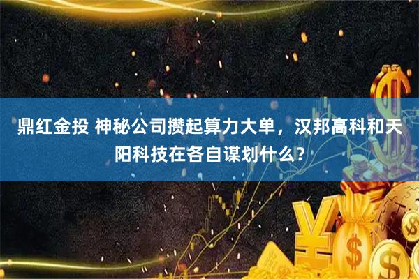 鼎红金投 神秘公司攒起算力大单，汉邦高科和天阳科技在各自谋划什么？